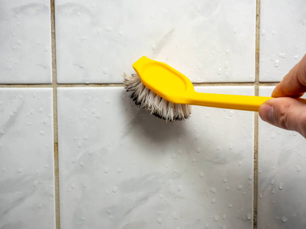 Best Mold Removal Near Me  in Federal Heights, CO