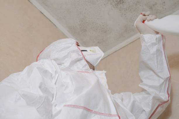 Best Crawl Space Mold Removal  in Federal Heights, CO